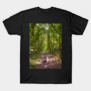 Woodland Walk T-Shirt